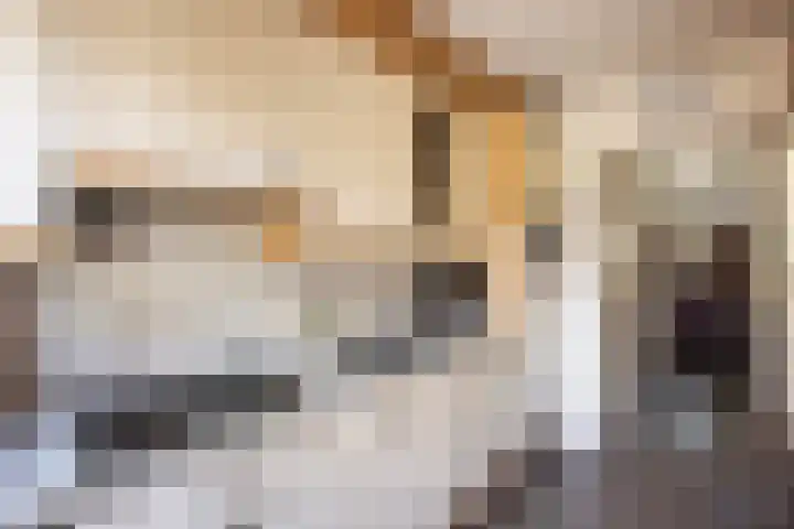 Hortensiastraat 88 Zwolle thumbnail 19