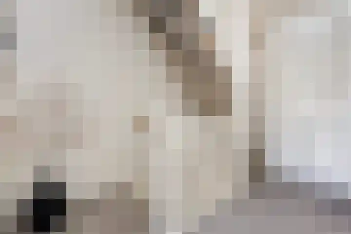 Hortensiastraat 88 Zwolle thumbnail 20