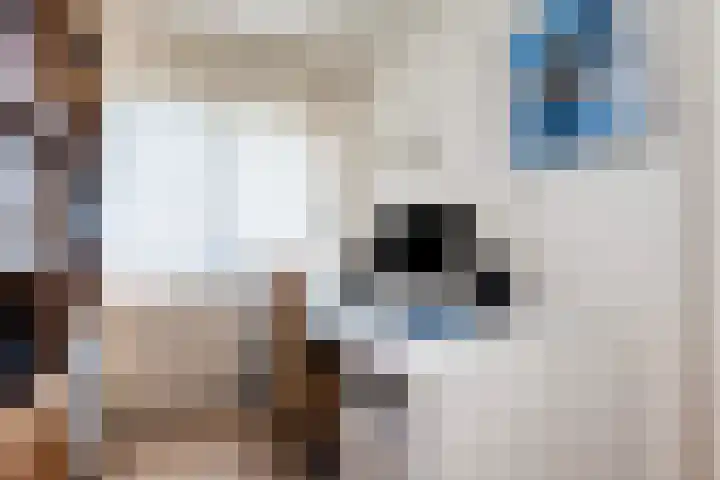 Hortensiastraat 88 Zwolle thumbnail 21