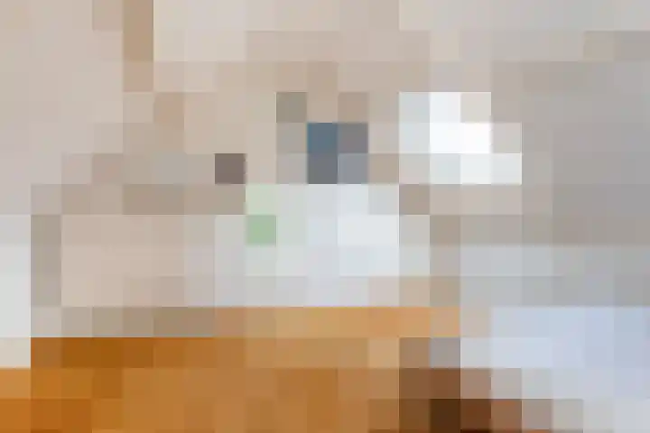 Hortensiastraat 88 Zwolle thumbnail 29