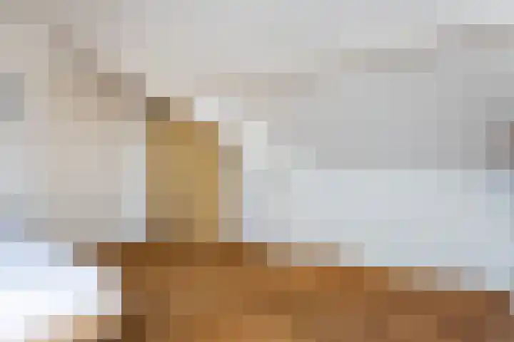 Hortensiastraat 88 Zwolle thumbnail 30