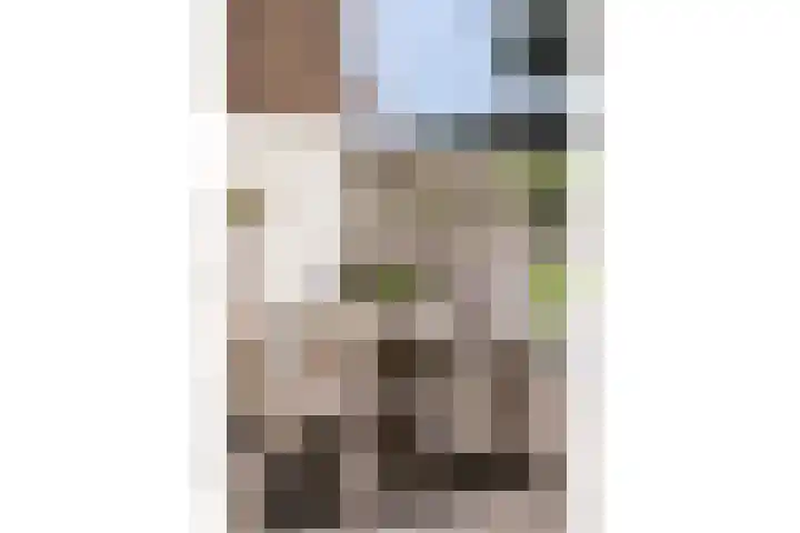Hortensiastraat 88 Zwolle thumbnail 32