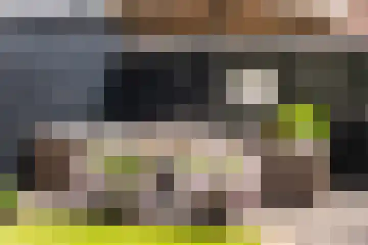 Hortensiastraat 88 Zwolle thumbnail 33
