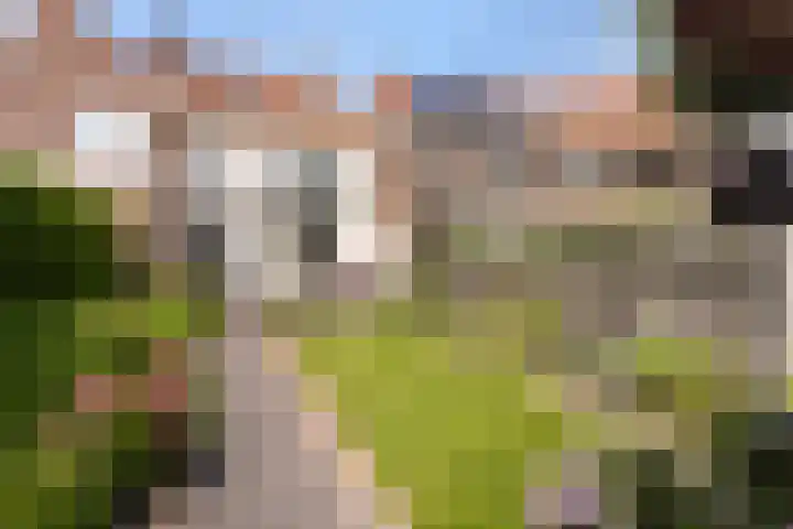 Hortensiastraat 88 Zwolle thumbnail 34