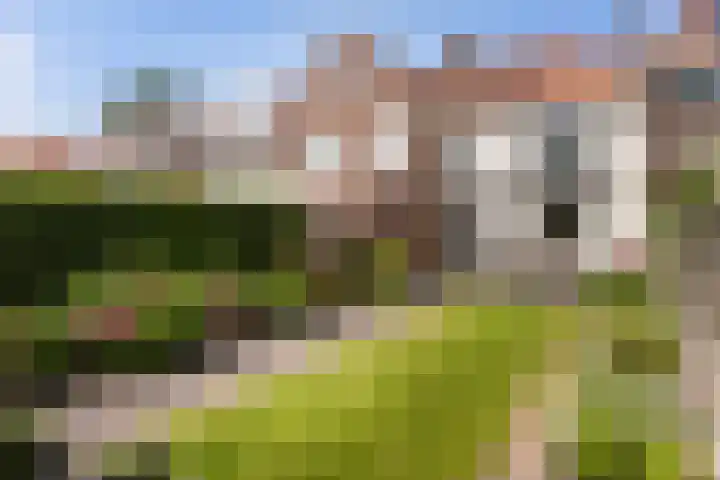 Hortensiastraat 88 Zwolle thumbnail 35