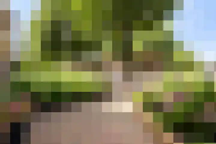 Hortensiastraat 88 Zwolle thumbnail 36