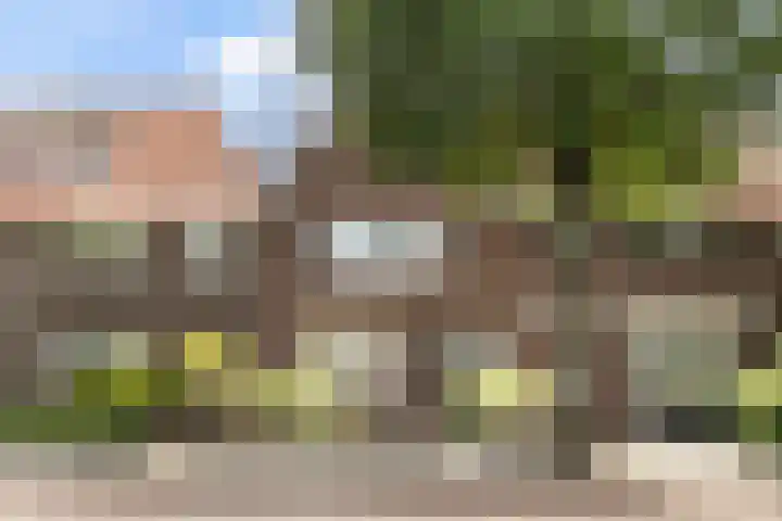Hortensiastraat 88 Zwolle thumbnail 4