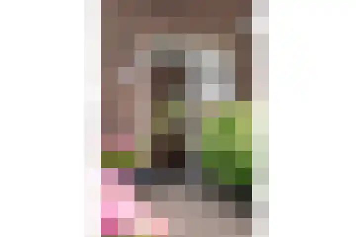 Hortensiastraat 88 Zwolle thumbnail 5