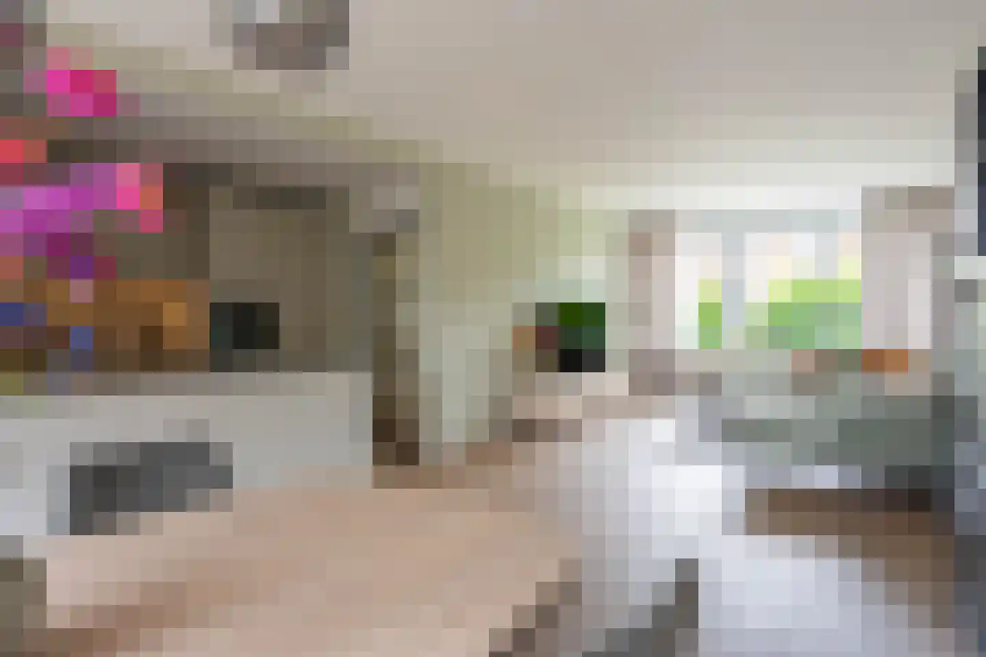 Hortensiastraat 9 Bovensmilde thumbnail 11