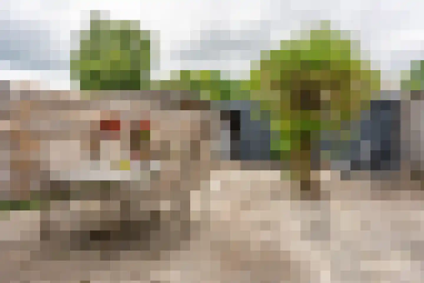 Hortensiastraat 9 Bovensmilde thumbnail 29