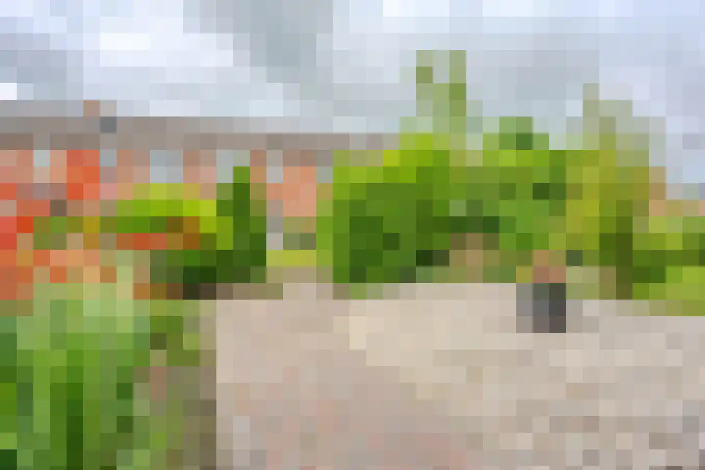 Hortensiastraat 9 Bovensmilde thumbnail 37