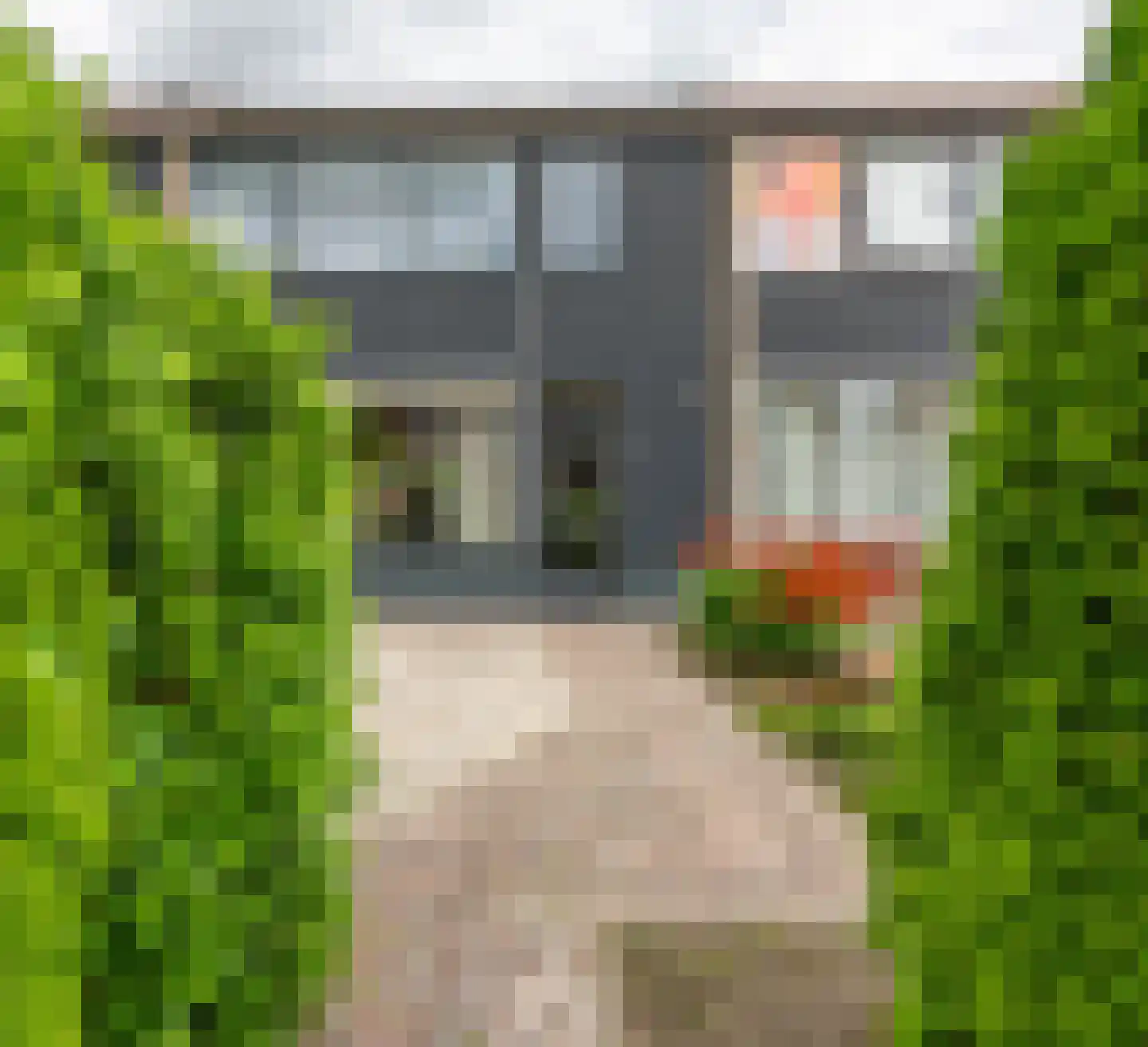 Hortensiastraat 9 Bovensmilde thumbnail 4