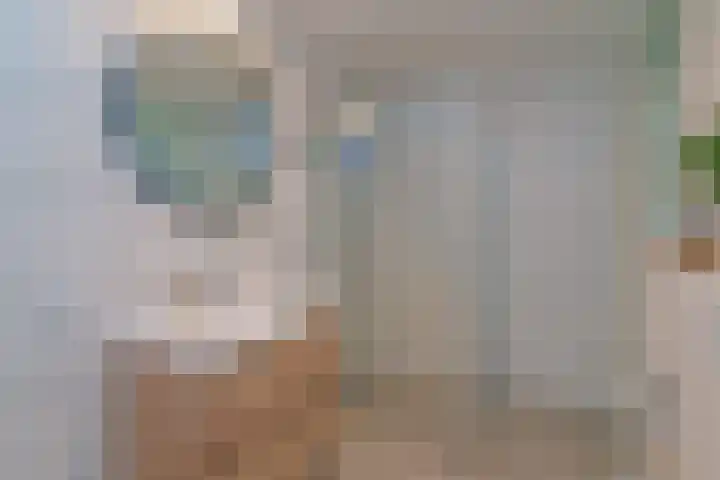 Hortensiastraat 90 Den Haag thumbnail 19