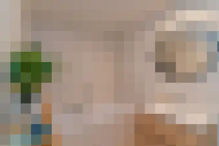 Hortensiastraat 90 Den Haag thumbnail 21