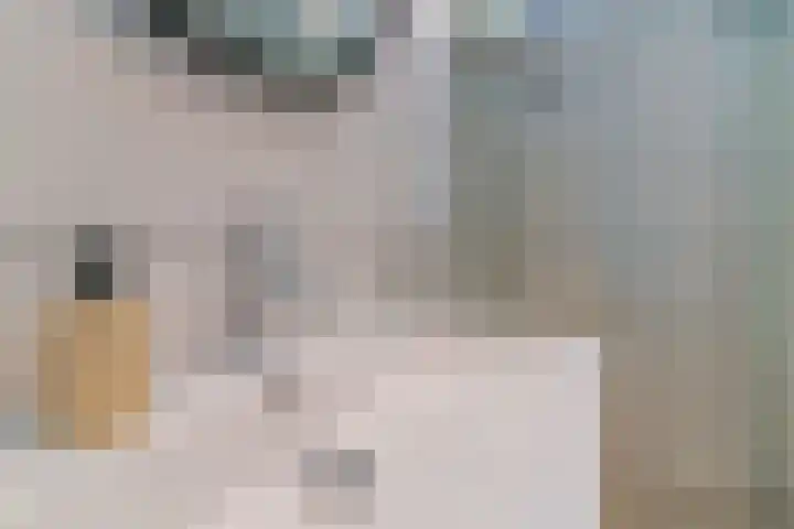 Hortensiastraat 90 Den Haag thumbnail 22