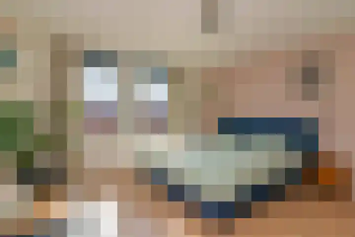 Hortensiastraat 90 Den Haag thumbnail 24