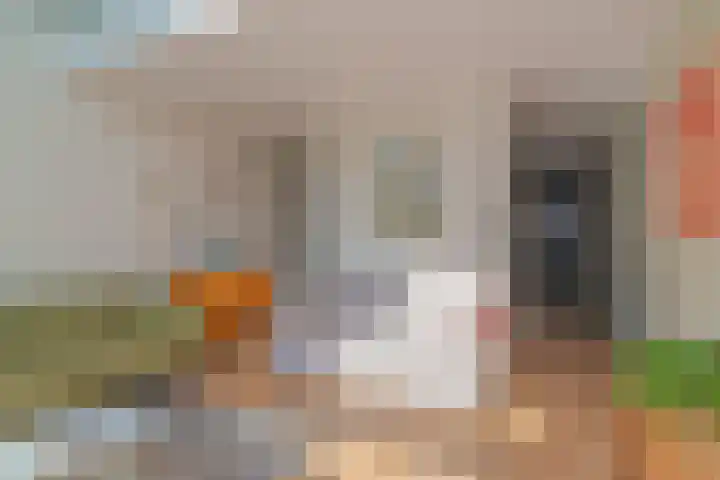 Hortensiastraat 90 Den Haag thumbnail 30