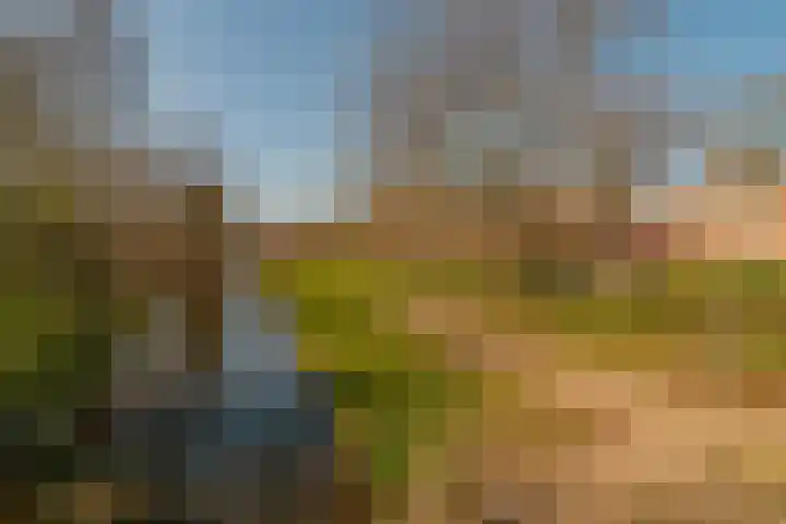 Hortensiastraat 90 Den Haag thumbnail 35