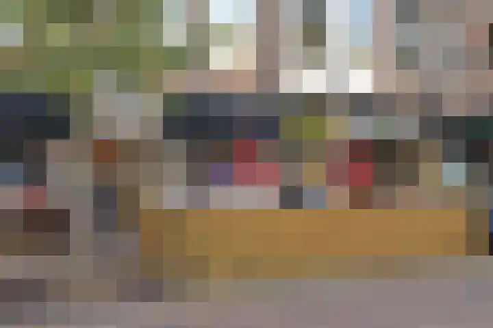 Hortensiastraat 90 Den Haag thumbnail 66