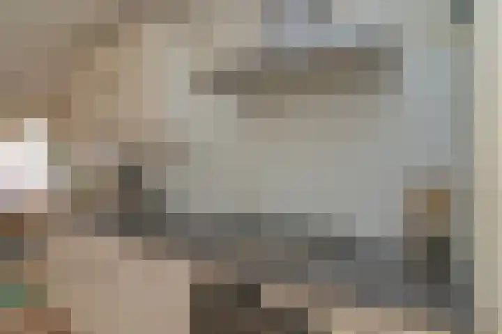 Hortensiastraat 90 Den Haag thumbnail 8