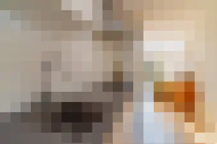 Hortensiastraat 90 Den Haag thumbnail 9