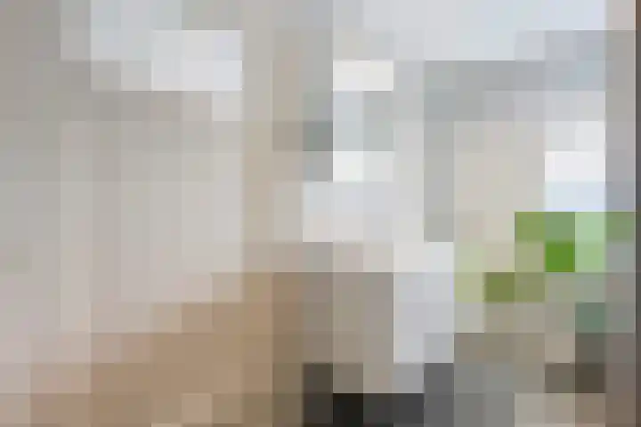 Hortensiastraat 92 Zwolle thumbnail 31