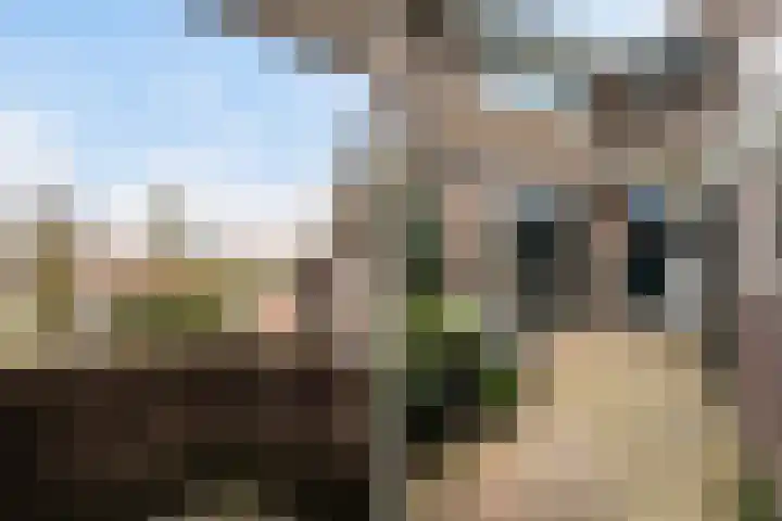 Hortensiastraat 92 Zwolle thumbnail 35
