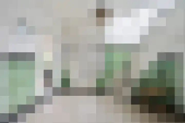 Hortensiastraat 92 Zwolle thumbnail 9