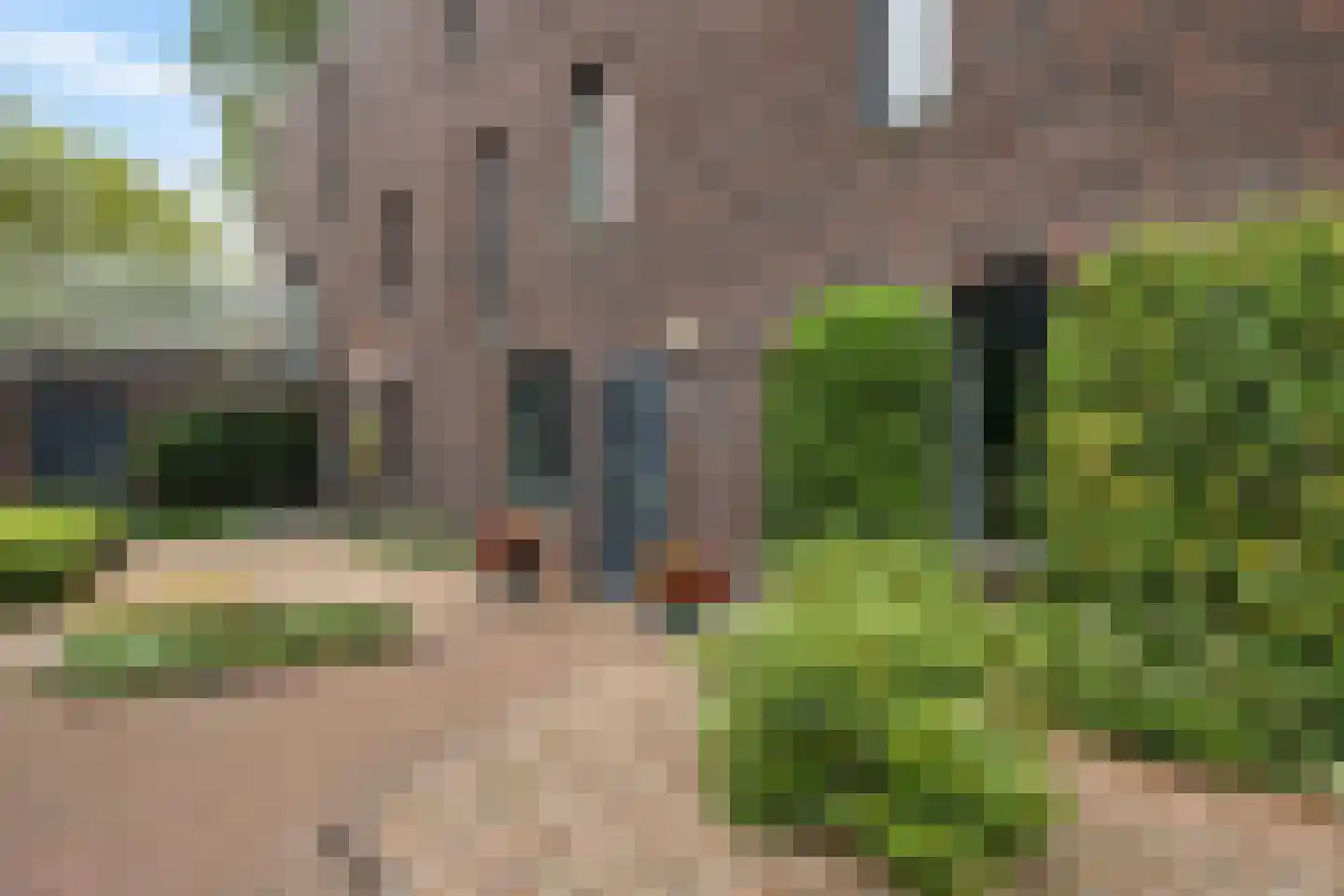 Hortensiaweg 18 Paterswolde