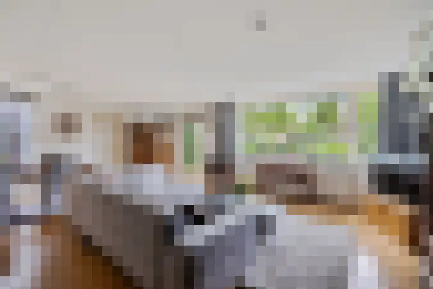 Hortensiaweg 18 Paterswolde thumbnail 12