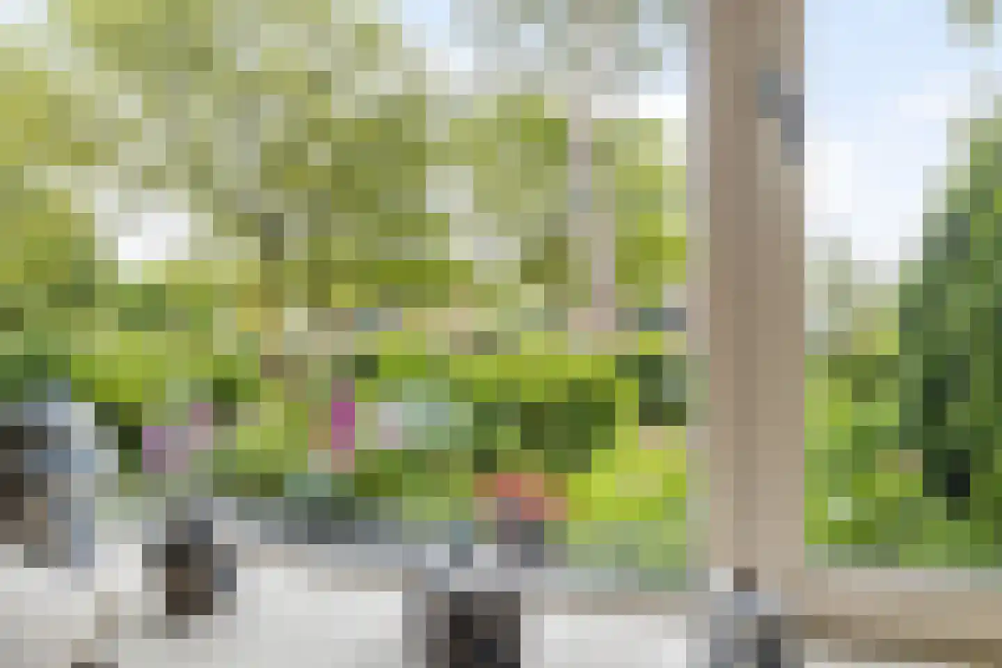 Hortensiaweg 18 Paterswolde thumbnail 14