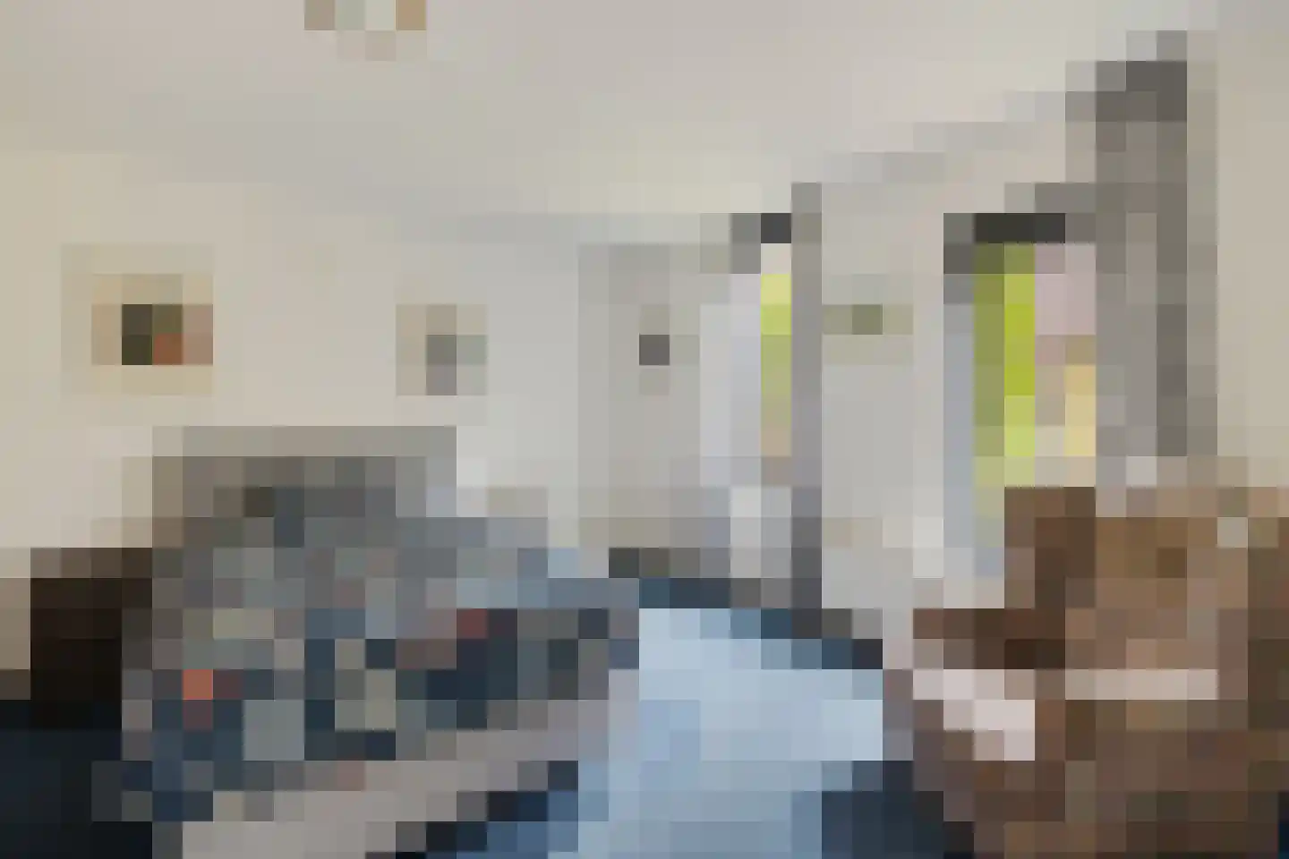 Hortensiaweg 18 Paterswolde thumbnail 21