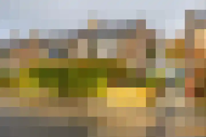Hortensiaweg 35 Paterswolde thumbnail 4