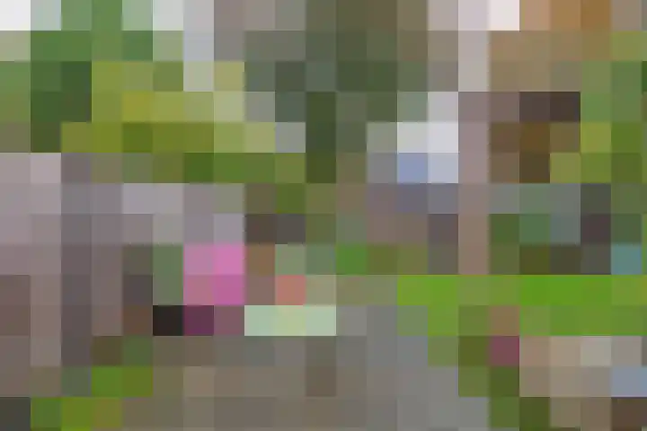 Hortensiaweg 35 Paterswolde thumbnail 42