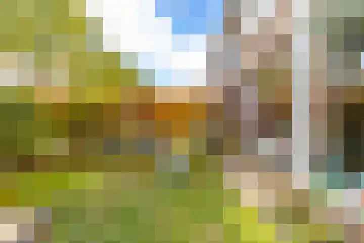 Hortensiaweg 35 Paterswolde thumbnail 45