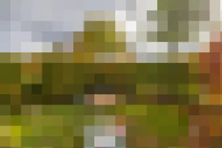 Hortensiaweg 35 Paterswolde thumbnail 46