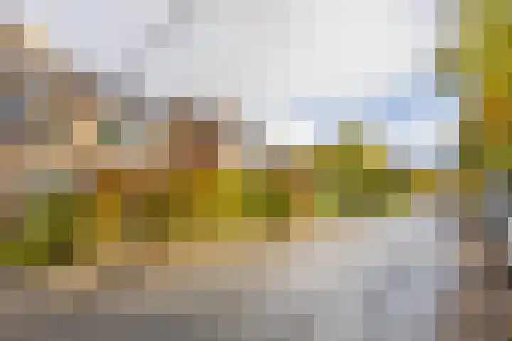 Hortensiaweg 35 Paterswolde thumbnail 47