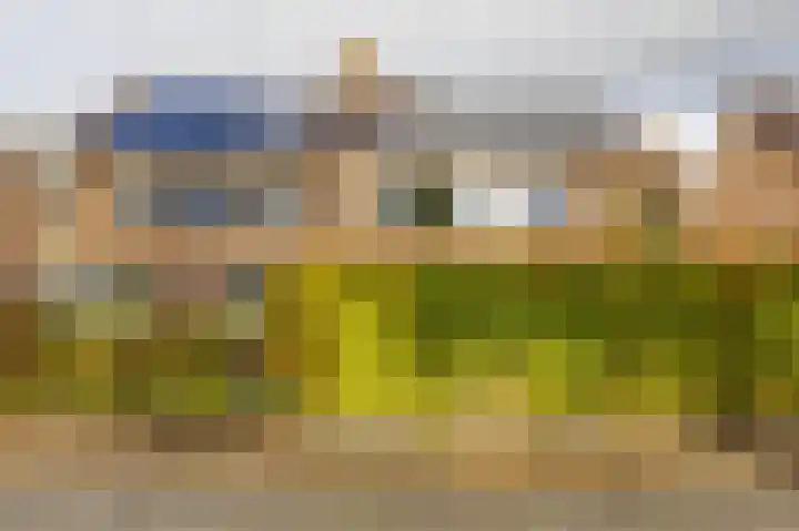 Hortensiaweg 35 Paterswolde thumbnail 6