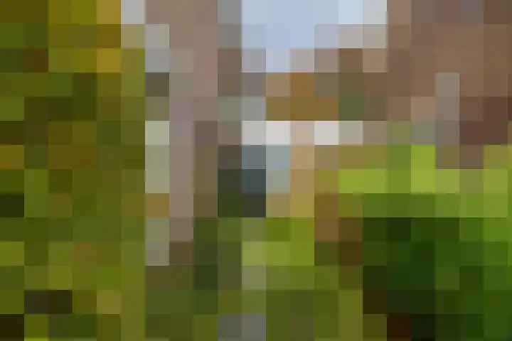 Hortensiaweg 35 Paterswolde thumbnail 7