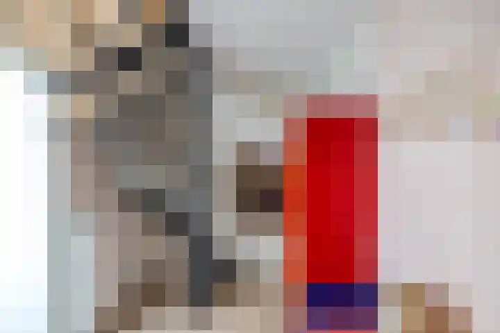 Hortensiaweg 35 Paterswolde thumbnail 8