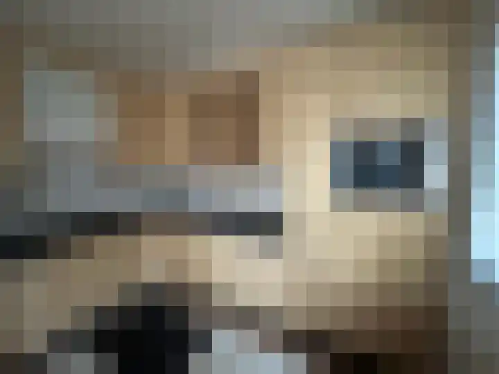Hortensiaweg 42 Paterswolde thumbnail 10