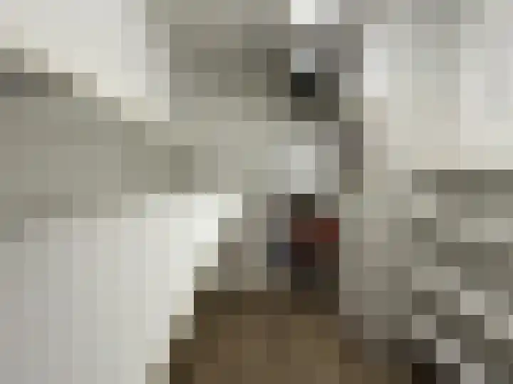 Hortensiaweg 42 Paterswolde thumbnail 11