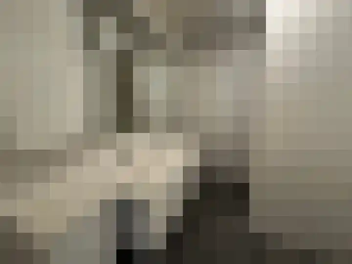 Hortensiaweg 42 Paterswolde thumbnail 12