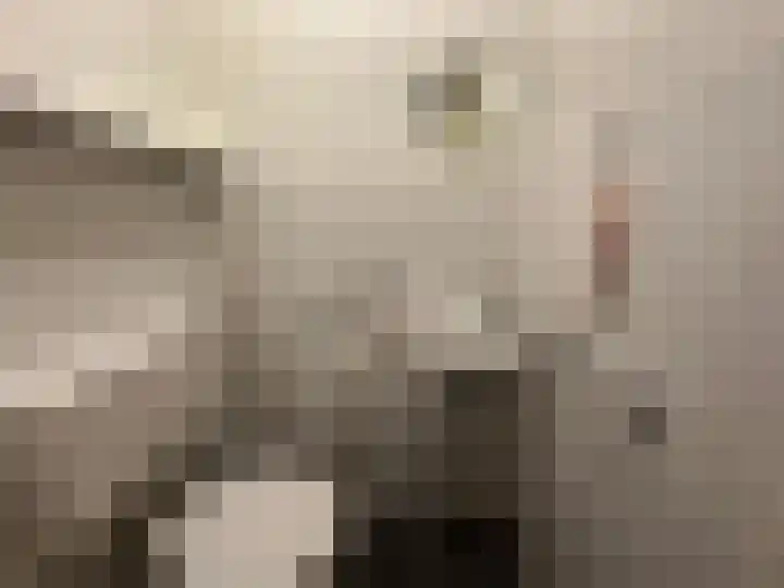 Hortensiaweg 42 Paterswolde thumbnail 13