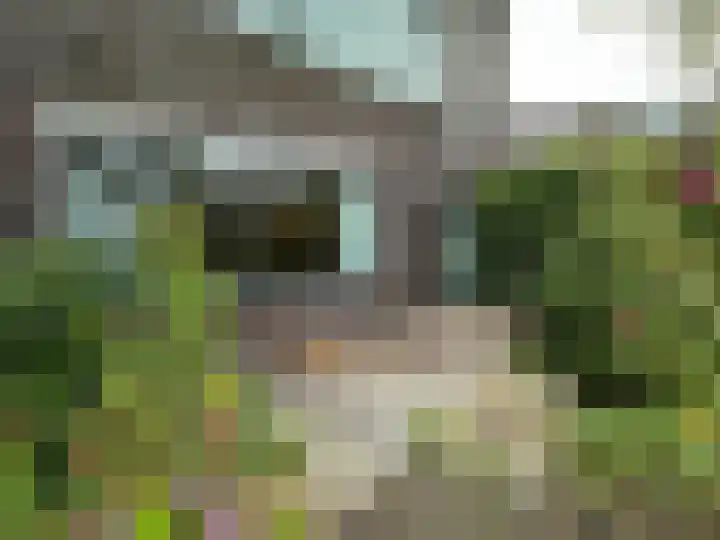 Hortensiaweg 42 Paterswolde thumbnail 21