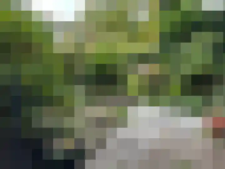 Hortensiaweg 42 Paterswolde thumbnail 22