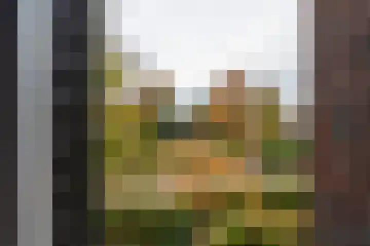 Horthoekerweg 7 H Oene thumbnail 19