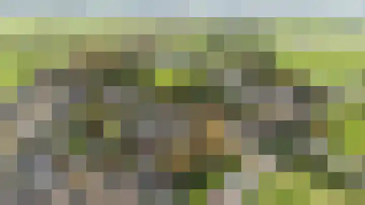 Horthoekerweg 7 H Oene thumbnail 23