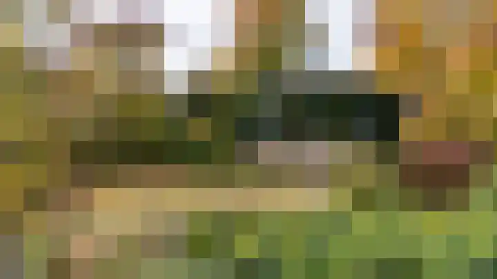 Horthoekerweg 7 H Oene thumbnail 24