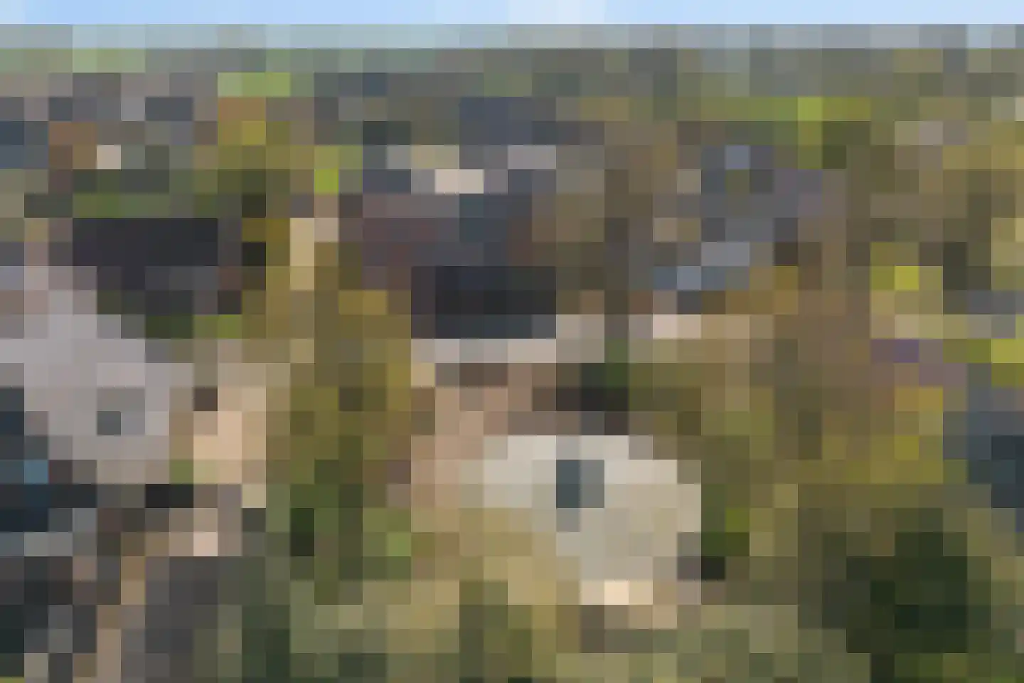 Horthoekerweg 7 M Oene thumbnail 26